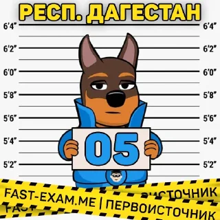 🇦🇮 emoji Все регионы @fast_exam Telegram sticker 8 of 84