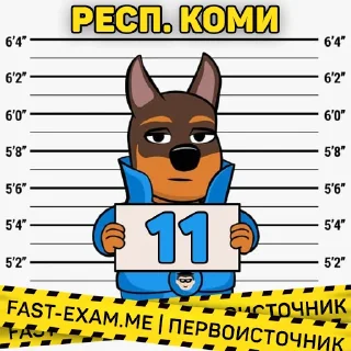 🇦🇺 emoji Все регионы @fast_exam Telegram sticker 14 of 84