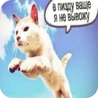 🐱 emoji У тех,кто это юзает есть мама Telegram sticker 22 of 29