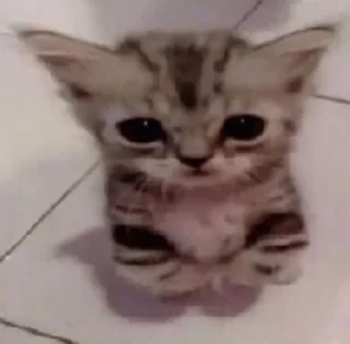 😇 emoji пон Telegram sticker 7 of 71