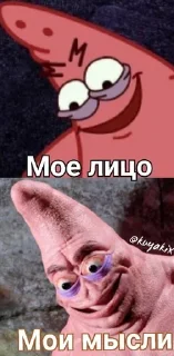 😏 emoji Дичь по жизни Telegram sticker 13 of 39