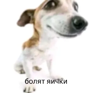😬 emoji чурка Telegram sticker 7 of 39