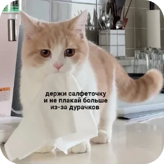 🥰 emoji Пиздец а не жизнь Telegram sticker 13 of 15