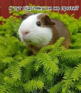 ☺️ emoji Стікерпак великого Дімона І Telegram sticker 14 of 33