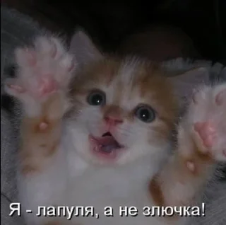 🌟 emoji ЛИЗАВЕТКА.БУЯНИТЪ Telegram sticker 12 of 88