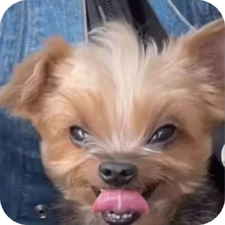 😛 emoji Just stickers Telegram sticker 16 of 57