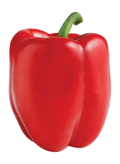 🌶 emoji Opex Telegram sticker 8 of 62