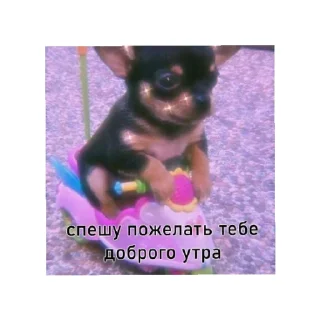 🤗 emoji День/ ночь Telegram sticker 13 of 15