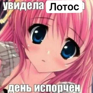 🪷 emoji День испорчен Telegram sticker 14 of 15
