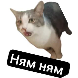 Sticker from Супер мур