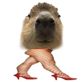 🦶 emoji JinnsEatsPreps Telegram sticker 9 of 10