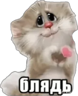 🌟 emoji лак, по старому 🐳 Telegram sticker 9 of 28