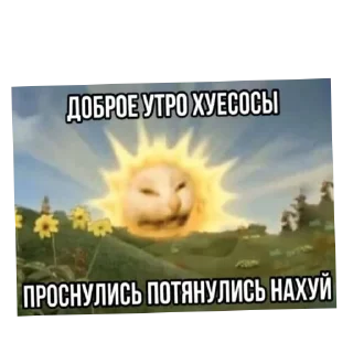 👍 emoji Коты Telegram sticker 16 of 26