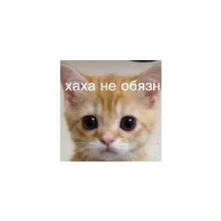 Sticker from Аа№ах