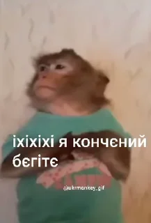 👨‍✈️ emoji Стикеры 👉 @animokubot Telegram sticker 7 of 48