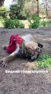 👨‍✈️ emoji Стикеры 👉 @animokubot Telegram sticker 23 of 48