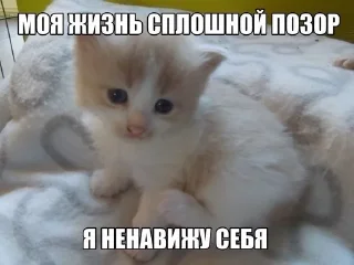 😔 emoji аніни кішки  @yyupiyoy Telegram sticker 6 of 13