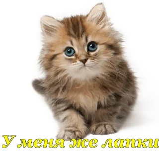 🥺 emoji Clan-MIX Telegram sticker 22 of 26