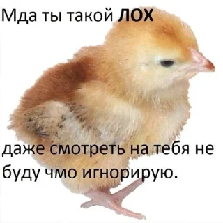 Sticker from будешь бегать с нами?