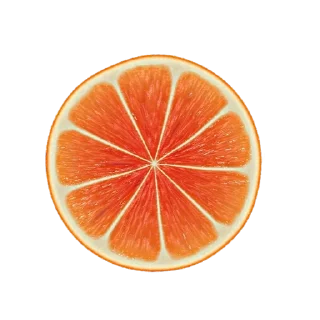 🍊 emoji /new Telegram sticker 9 of 11