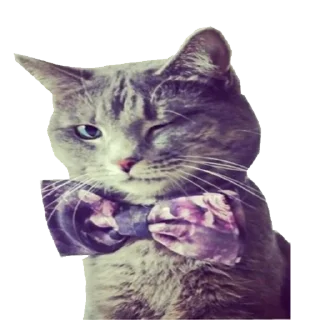 😉 emoji Funimals @potreshyalkino Telegram sticker 16 of 34