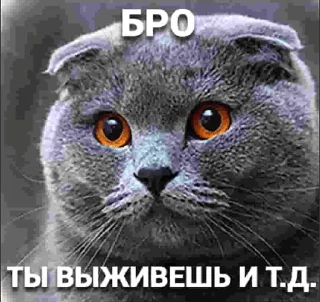 🌟 emoji шкибиди Telegram sticker 18 of 50