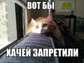 🥺 emoji ТВОЯ ГОЛАЯ МАМА -> @onlinesexceo Telegram sticker 22 of 65
