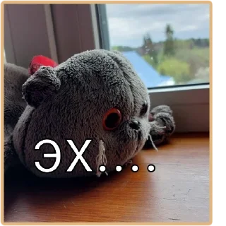 😢 emoji мяу басики💗😺 Telegram sticker 4 of 21