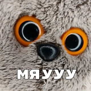 😺 emoji мяу басики💗😺 Telegram sticker 7 of 21