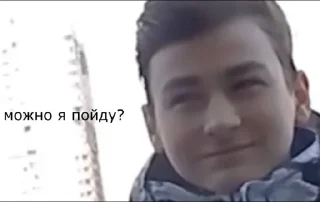 🙋‍♀️ emoji КоШкА 🌿🌟ВоСтОрГе😍 Telegram sticker 13 of 104