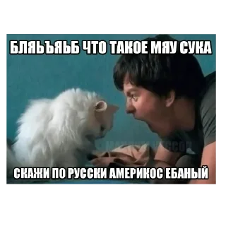 🐱 emoji Не знаю, не играл Telegram sticker 11 of 38