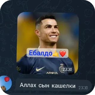 👍 emoji Хео Telegram sticker 8 of 11