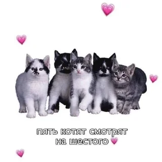 Sticker from Клас