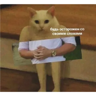 💟 emoji Только для Пацанчиков Telegram sticker 13 of 17