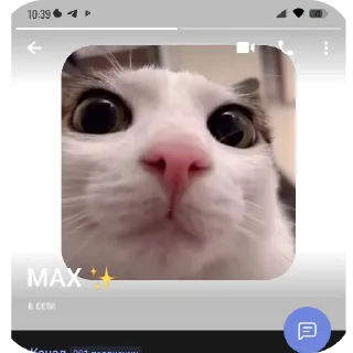 🤲 emoji Пупсик пойдем домой Telegram sticker 6 of 23