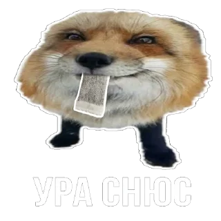 Sticker from Лисички