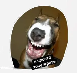 😆 emoji Сабяки😩💞 (by @tayaays) Telegram sticker 14 of 18