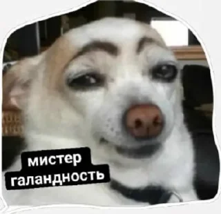 Sticker from Сабяки😩💞 (by @tayaays)