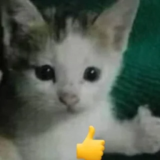 Sticker from Єбанутися зроблено Pinchi_i