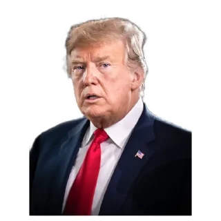 👍 emoji AnyTramp Telegram sticker 16 of 41
