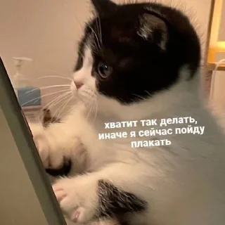 😣 emoji я сигма крутой Telegram sticker 24 of 49