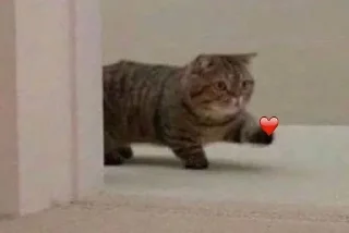 ❤️ emoji (^˵◕ω◕˵^) Telegram sticker 16 of 84