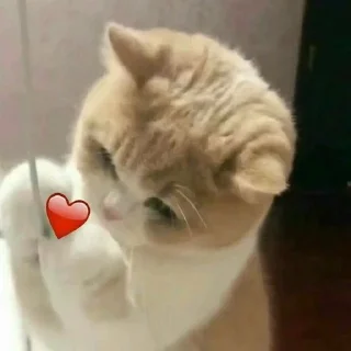 ❤️ emoji (^˵◕ω◕˵^) Telegram sticker 17 of 84
