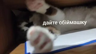 🌟 emoji Міньйон моє сонешко Telegram sticker 5 of 50