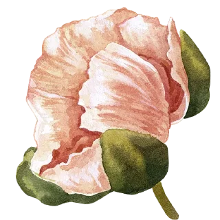 🌸 emoji Plants by juli Telegram sticker 11 of 39