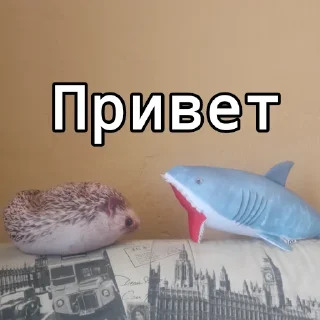 👋 emoji Акула @bloptop Telegram sticker 11 of 20