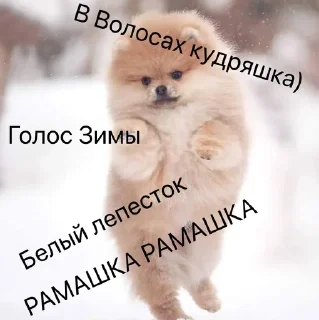 🌟 emoji Мой любимый Человек САШЕНЬКА🙃 Telegram sticker 8 of 42