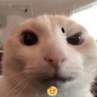 🤨 emoji сашенька санбае Telegram sticker 7 of 66