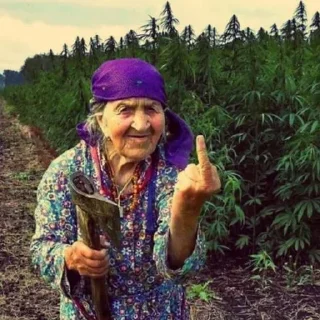 🔨 emoji Бабка Telegram sticker 6 of 10