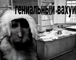 🤓 emoji вахуи (by emil) Telegram sticker 6 of 45